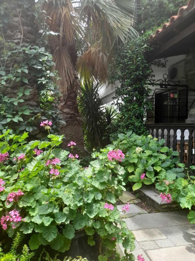 Papatzikos Traditional Guesthouse Neos Marmaras Exteriér fotografie